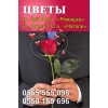 Цветочный магазин в Бишкеке