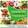 Голландские семена овощных культур.