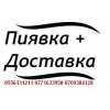 продаю пиявки (сулук)